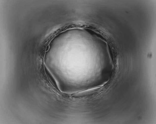 X0000114211302200910231357