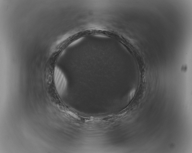 X0000114211303200910231357