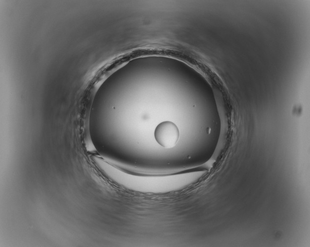 X0000114211304200910231357