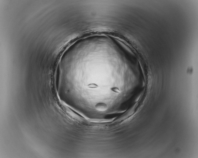 X0000114211305200910231357