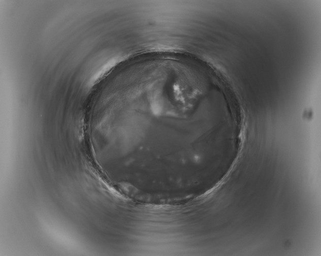 X0000114211306200910231357