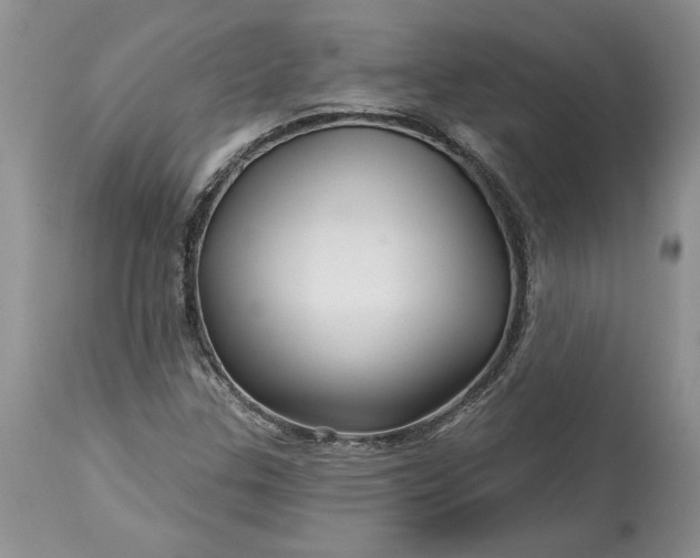 X0000114211307200910231357
