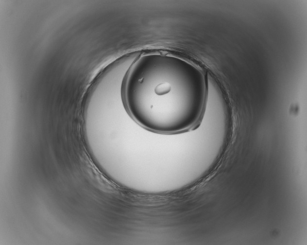 X0000114211308200910231357