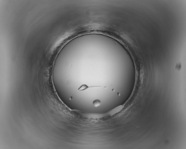 X0000114211309200910231357