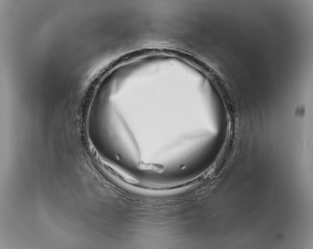X0000114211311200910231357