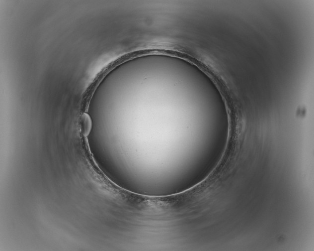 X0000114211312200910231357