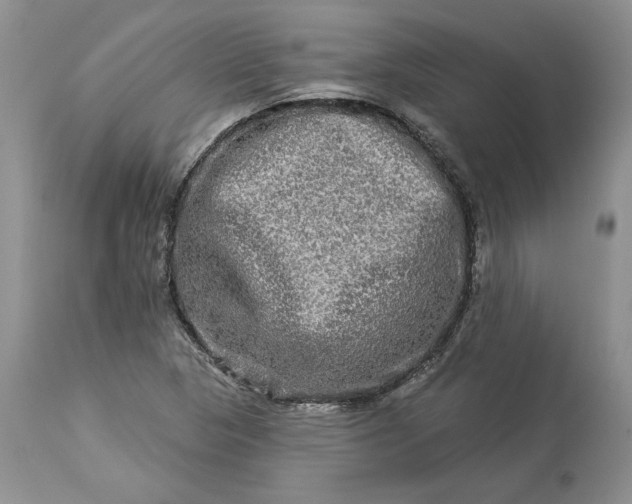 X0000114211313200910231357