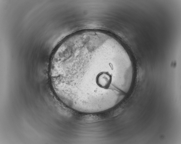X0000114211314200910231357