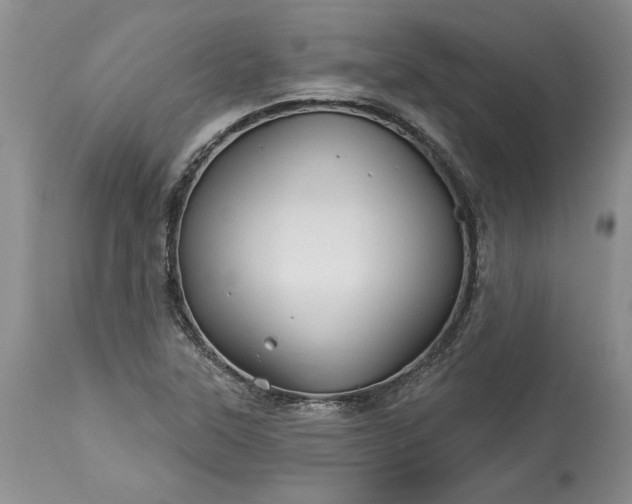 X0000114211315200910231357