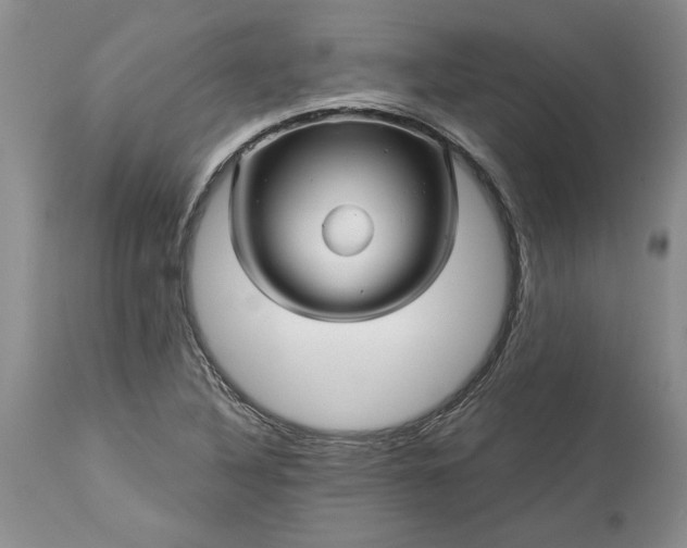 X0000114211316200910231357