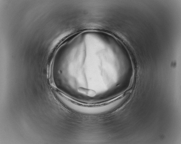 X0000114211317200910231357