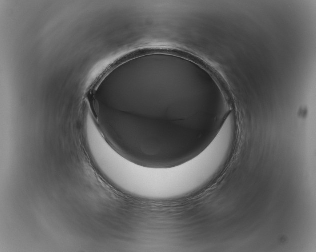 X0000114211319200910231357
