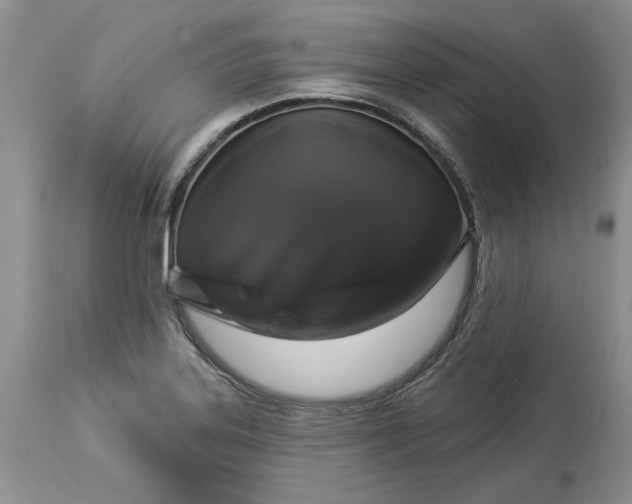 X0000114211323200910231357