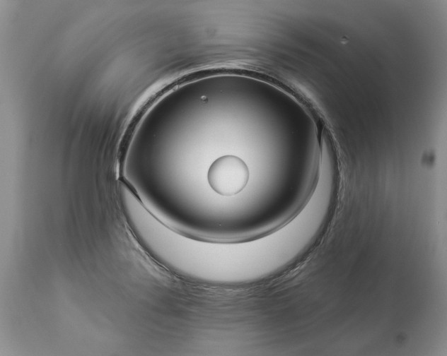 X0000114211324200910231357