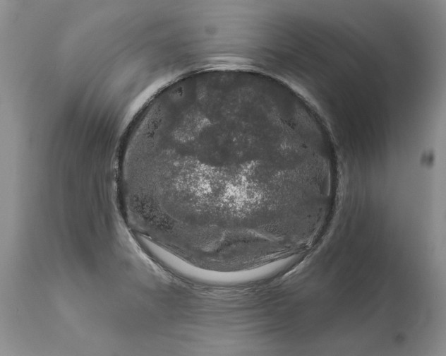 X0000114211325200910231357
