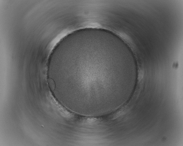 X0000114211326200910231357