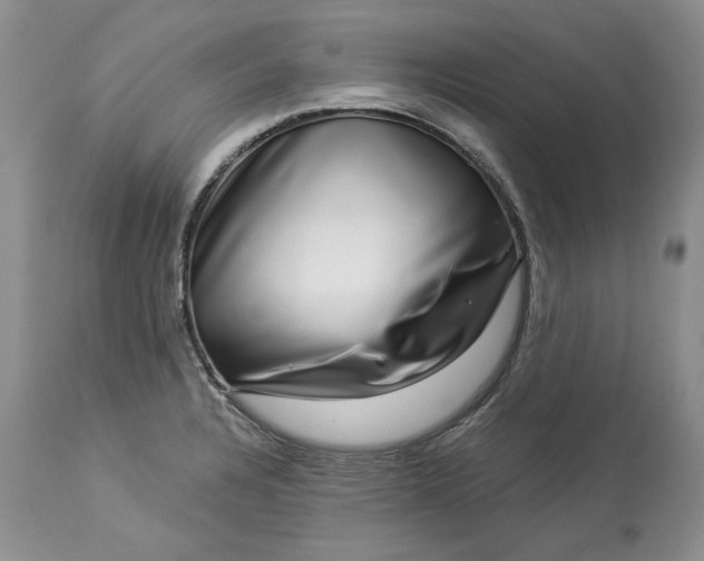 X0000114211328200910231357