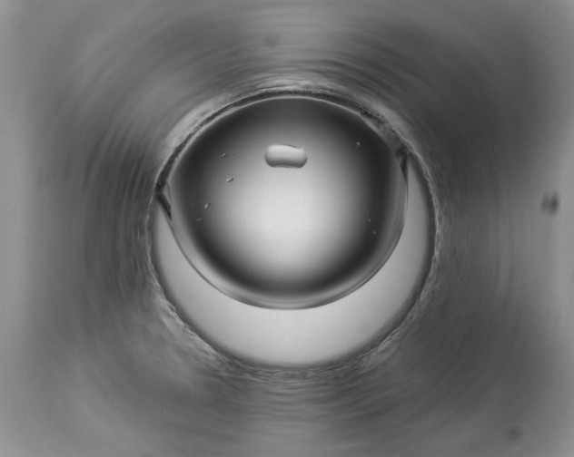 X0000114211330200910231357