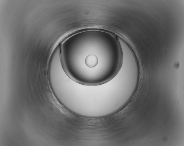 X0000114211332200910231357