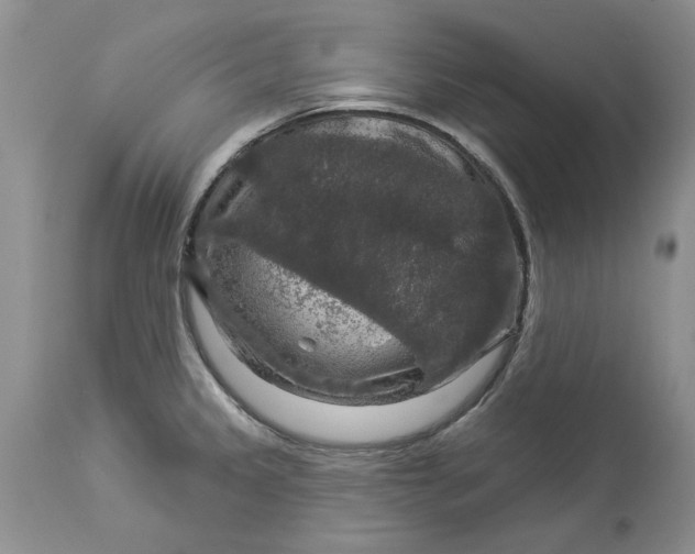 X0000114211333200910231357