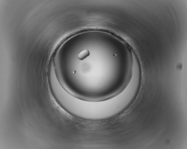 X0000114211334200910231357