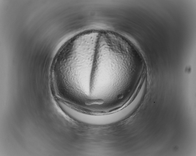 X0000114211335200910231357