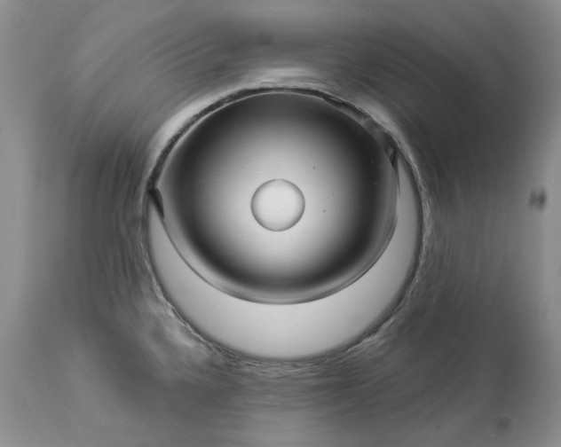 X0000114211336200910231357