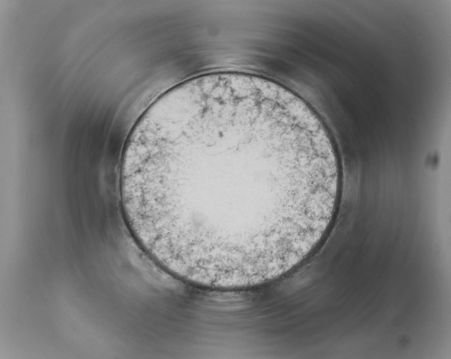 X0000114211338200910231357
