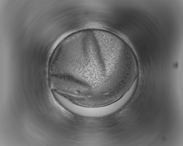 X0000114211339200910231357
