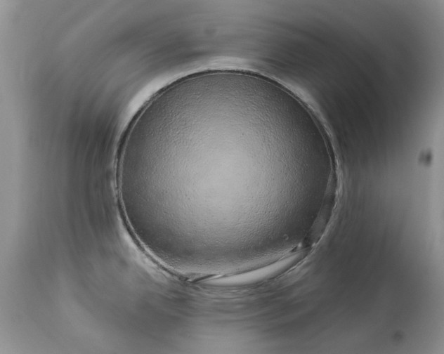 X0000114211342200910231357