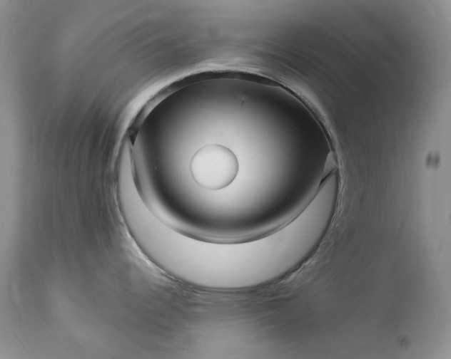 X0000114211344200910231357