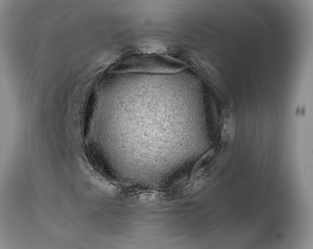 X0000114211345200910231357