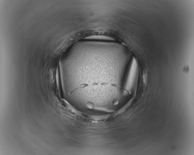 X0000114211347200910231357
