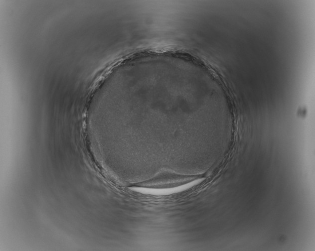 X0000114211349200910231357