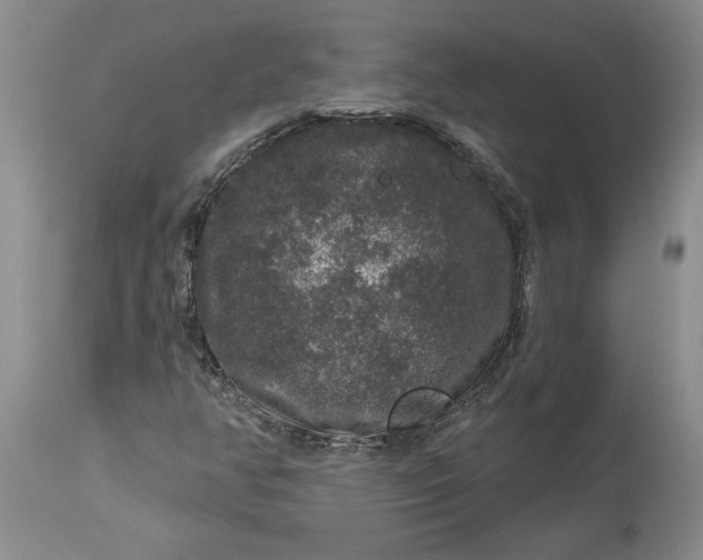 X0000114211350200910231357