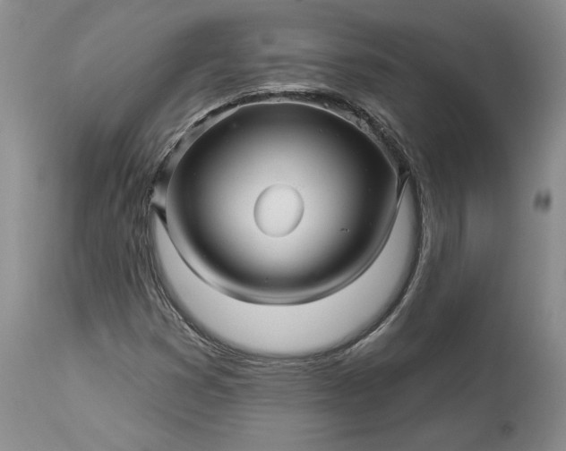 X0000114211353200910231356