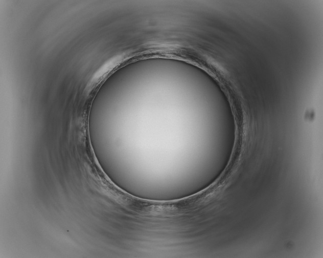 X0000114211354200910231356
