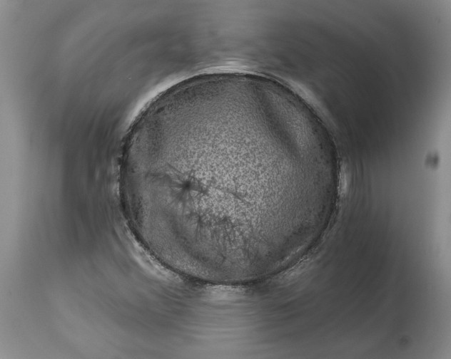 X0000114211356200910231356