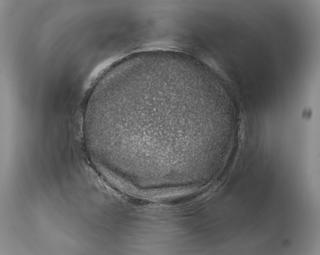 X0000114211358200910231356