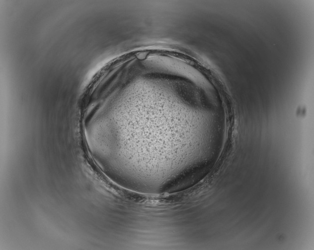 X0000114211360200910231356