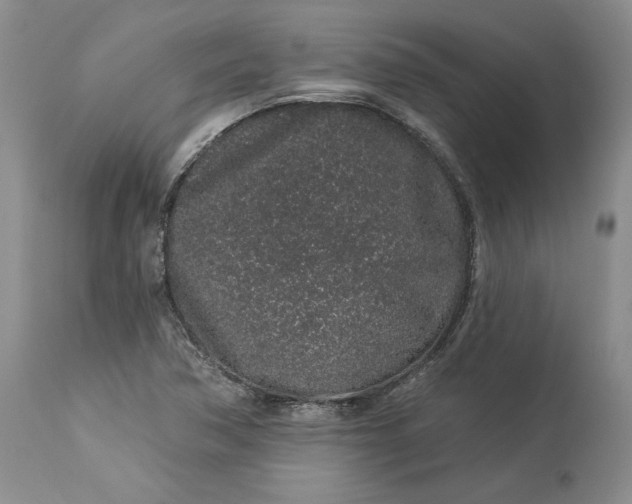 X0000114211362200910231356