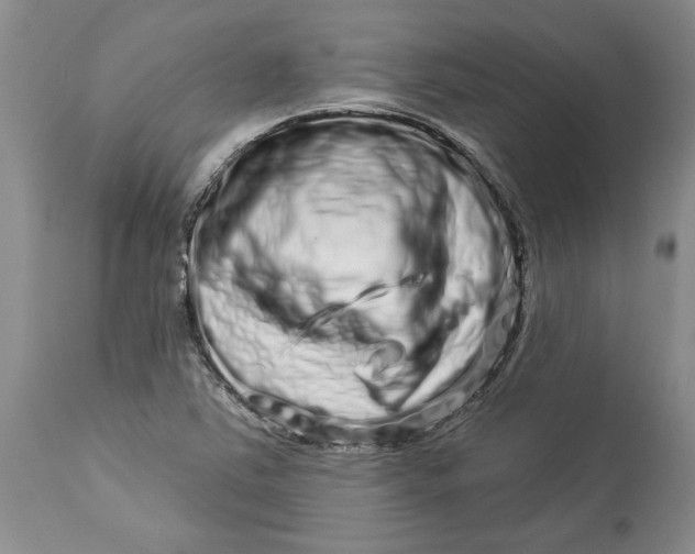 X0000114211363200910231356