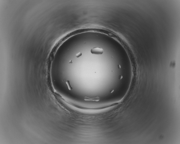 X0000114211364200910231356