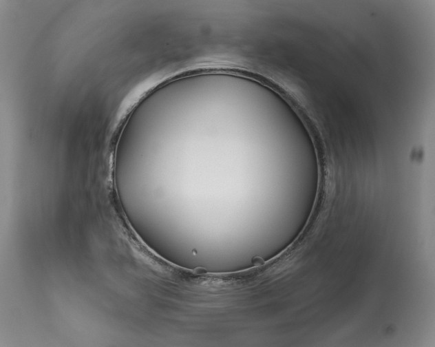 X0000114211366200910231356
