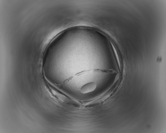 X0000114211367200910231356