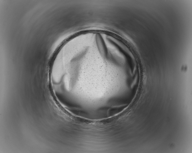 X0000114211368200910231356