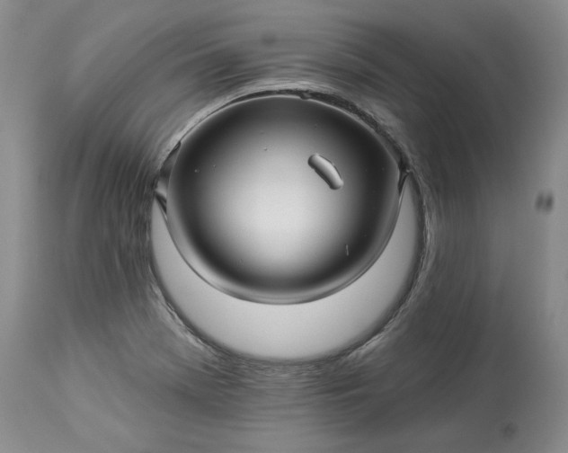 X0000114211369200910231356