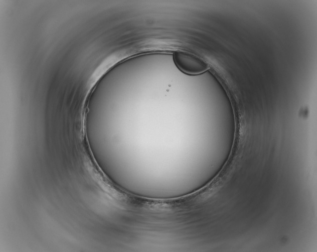 X0000114211370200910231356