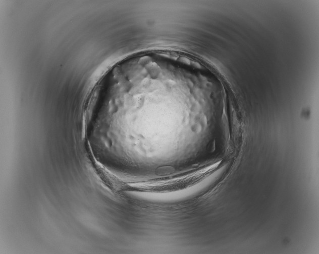 X0000114211371200910231356