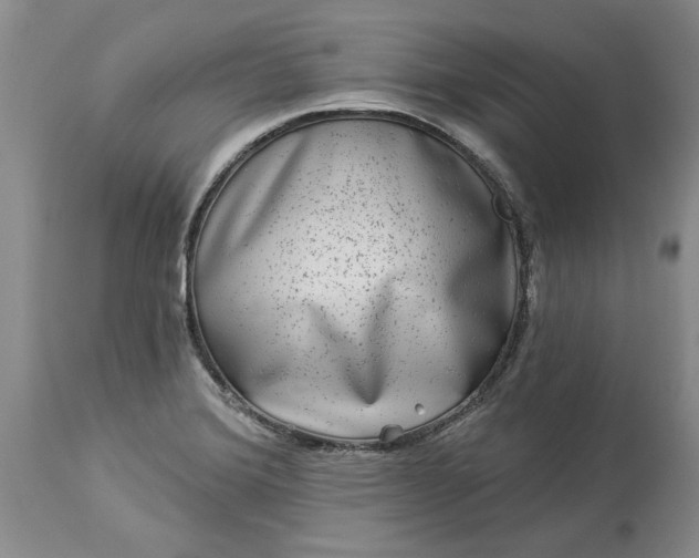 X0000114211372200910231356